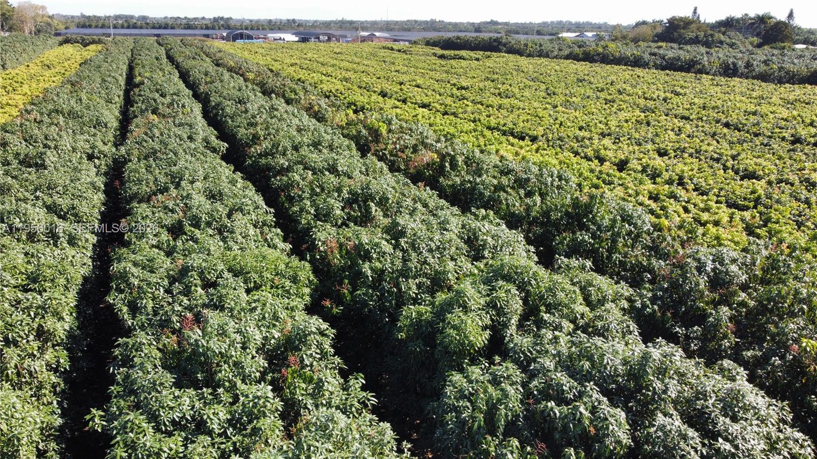 Ver detalles / sq. ft. $ 2026-01-30 0 foto