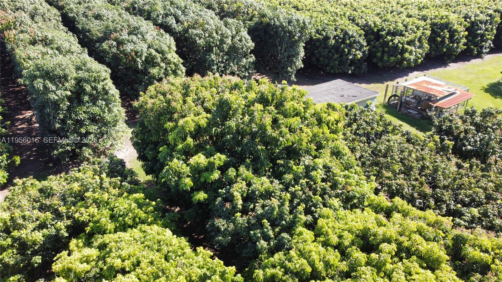 Ver detalles / sq. ft. $ 2026-01-30 0 foto