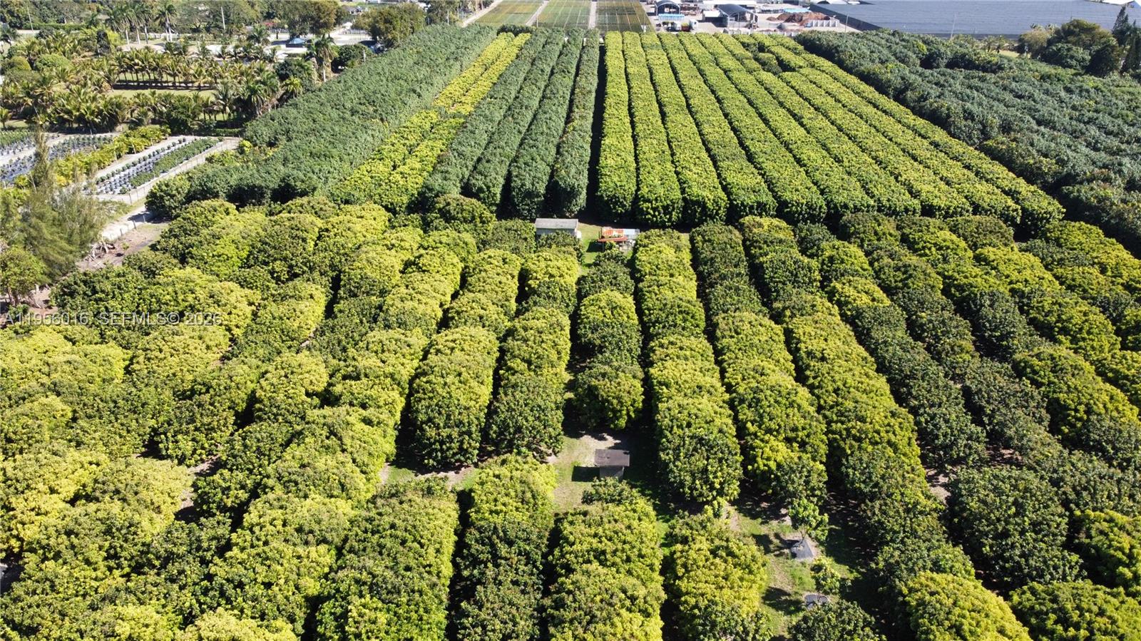 Ver detalles / sq. ft. $ 2026-01-30 0 foto