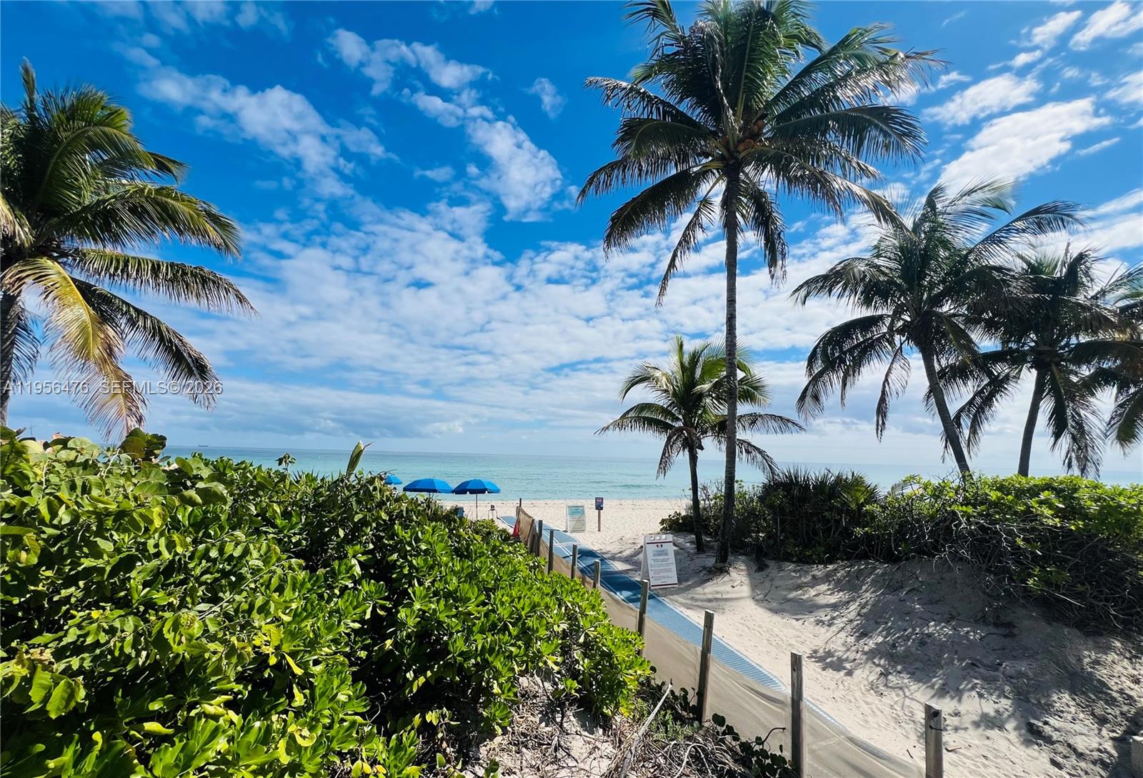 See details 9M 1 / 2 870 sq. ft. $ 2026-01-31 0 Photo