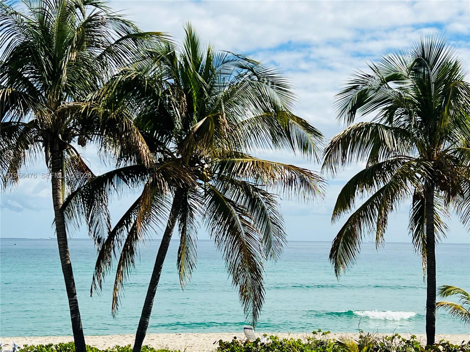 See details 9M 1 / 2 870 sq. ft. $ 2026-01-31 0 Photo