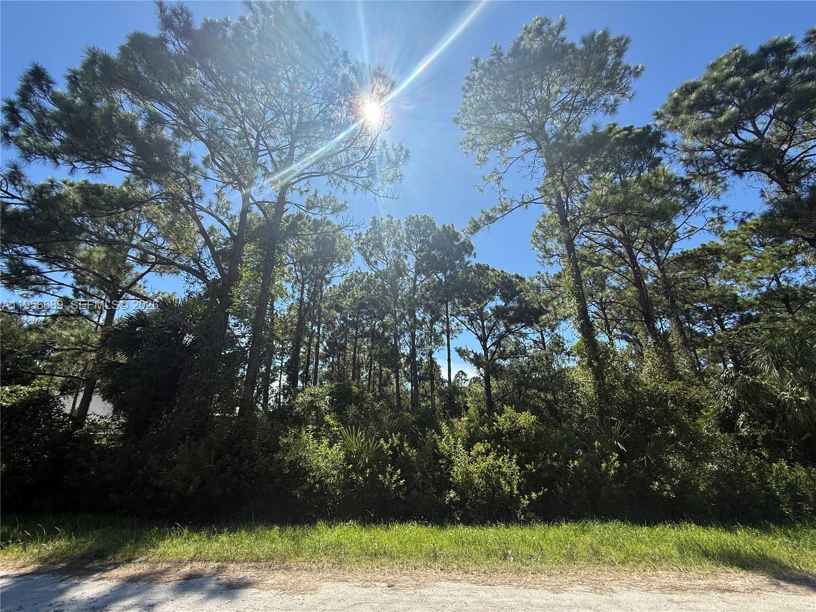 Ver detalles / sq. ft. $ 2026-02-01 0 foto