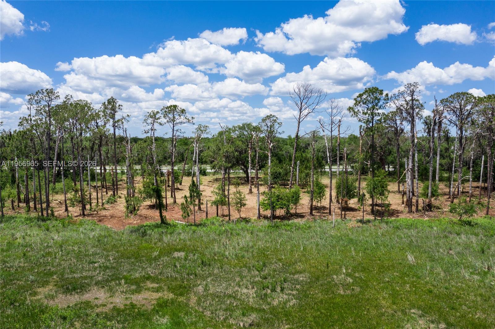 See details / sq. ft. $ 2026-02-24 0 Photo
