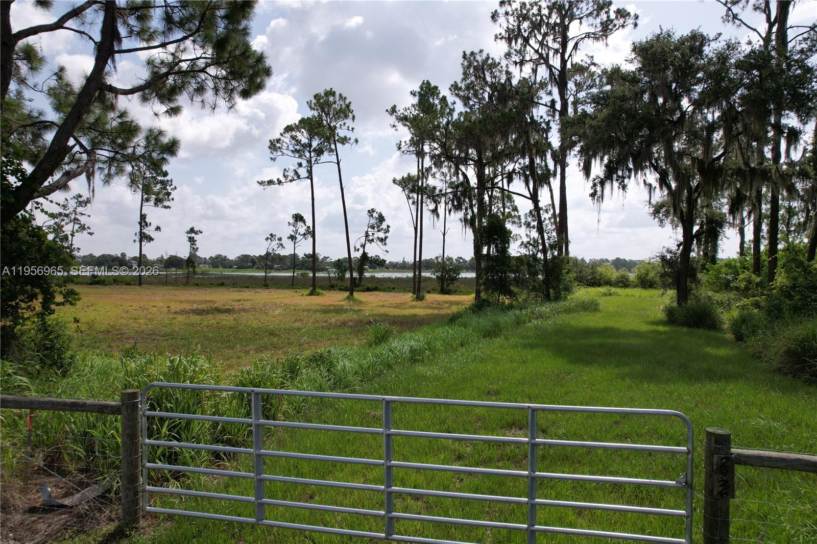 See details / sq. ft. $ 2026-02-24 0 Photo