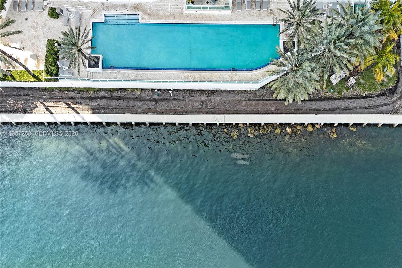 Photo of 20201 Country Club Dr  #1808, Aventura, Florida, 33180 - Manatees closeup.