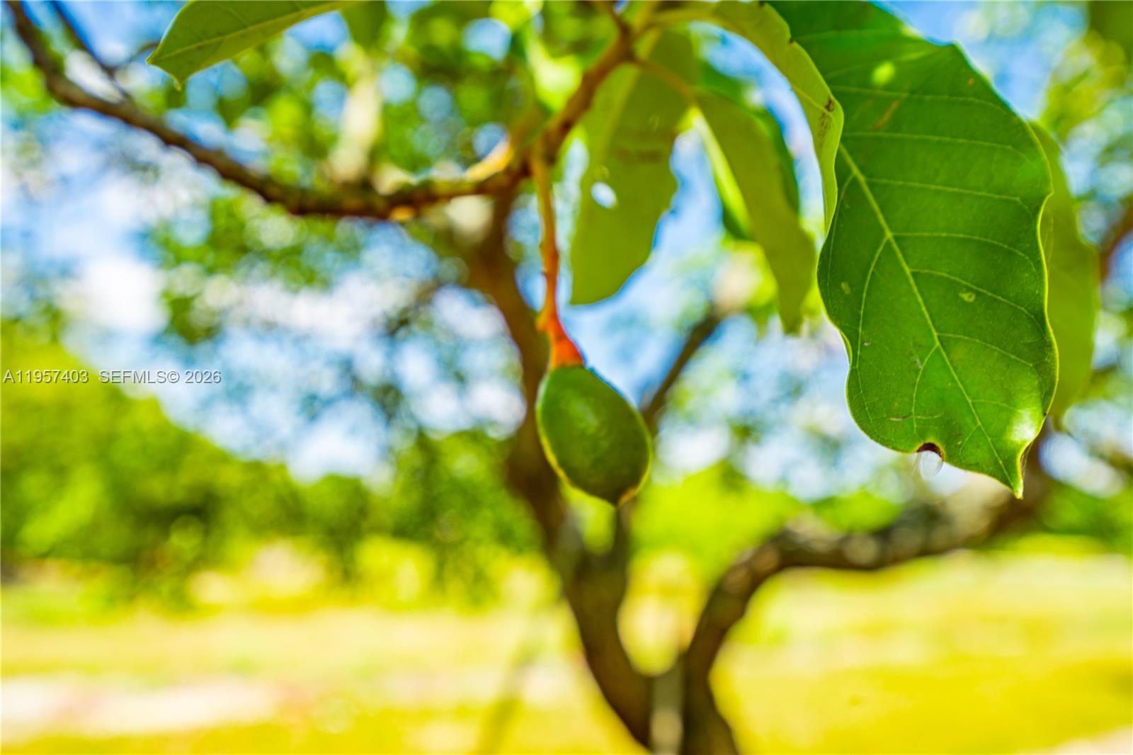 Ver detalles / sq. ft. $ 2026-02-02 0 foto