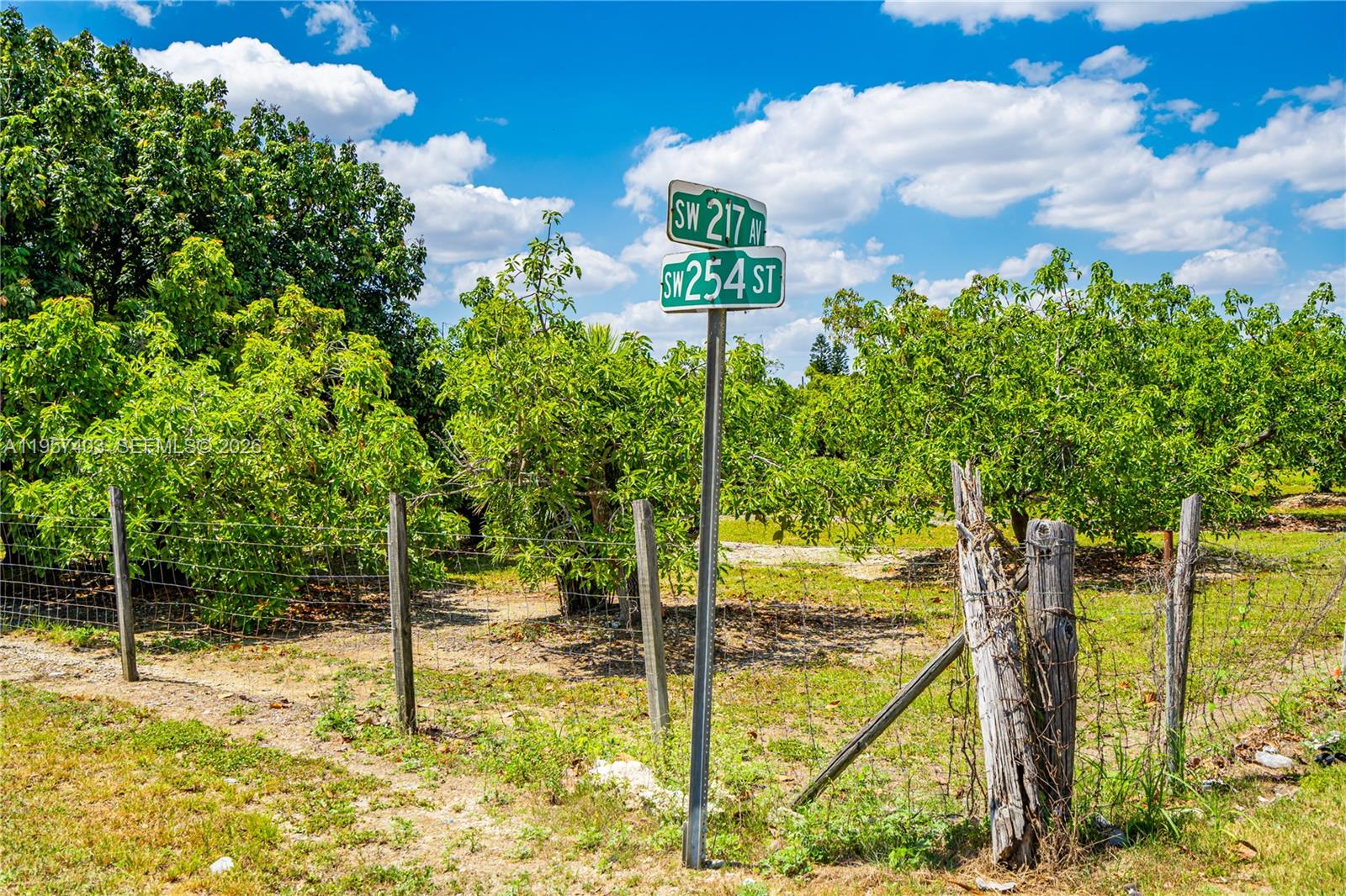 Ver detalles / sq. ft. $ 2026-02-02 0 foto