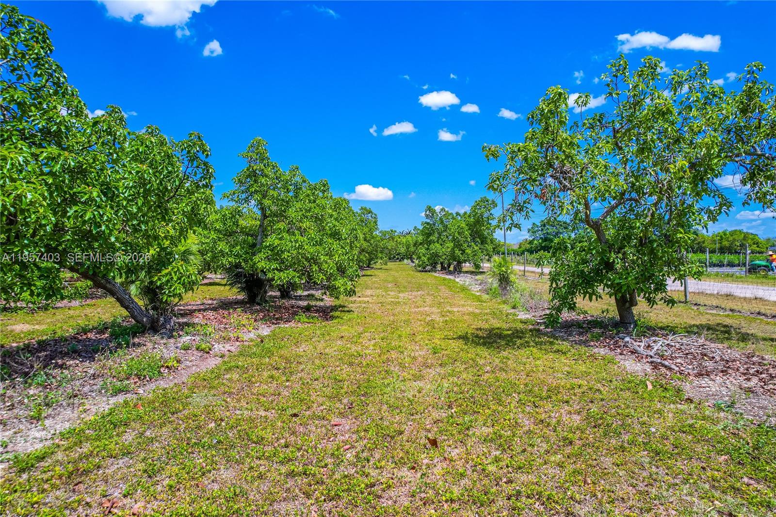 Ver detalles / sq. ft. $ 2026-02-02 0 foto