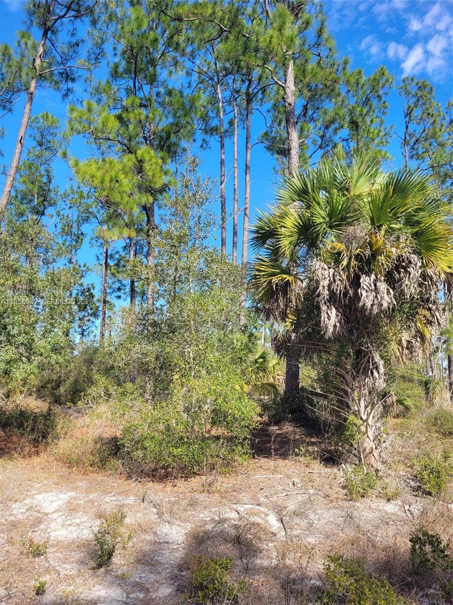 Подробнее / кв.футов $ 2026-02-04 0 Фото