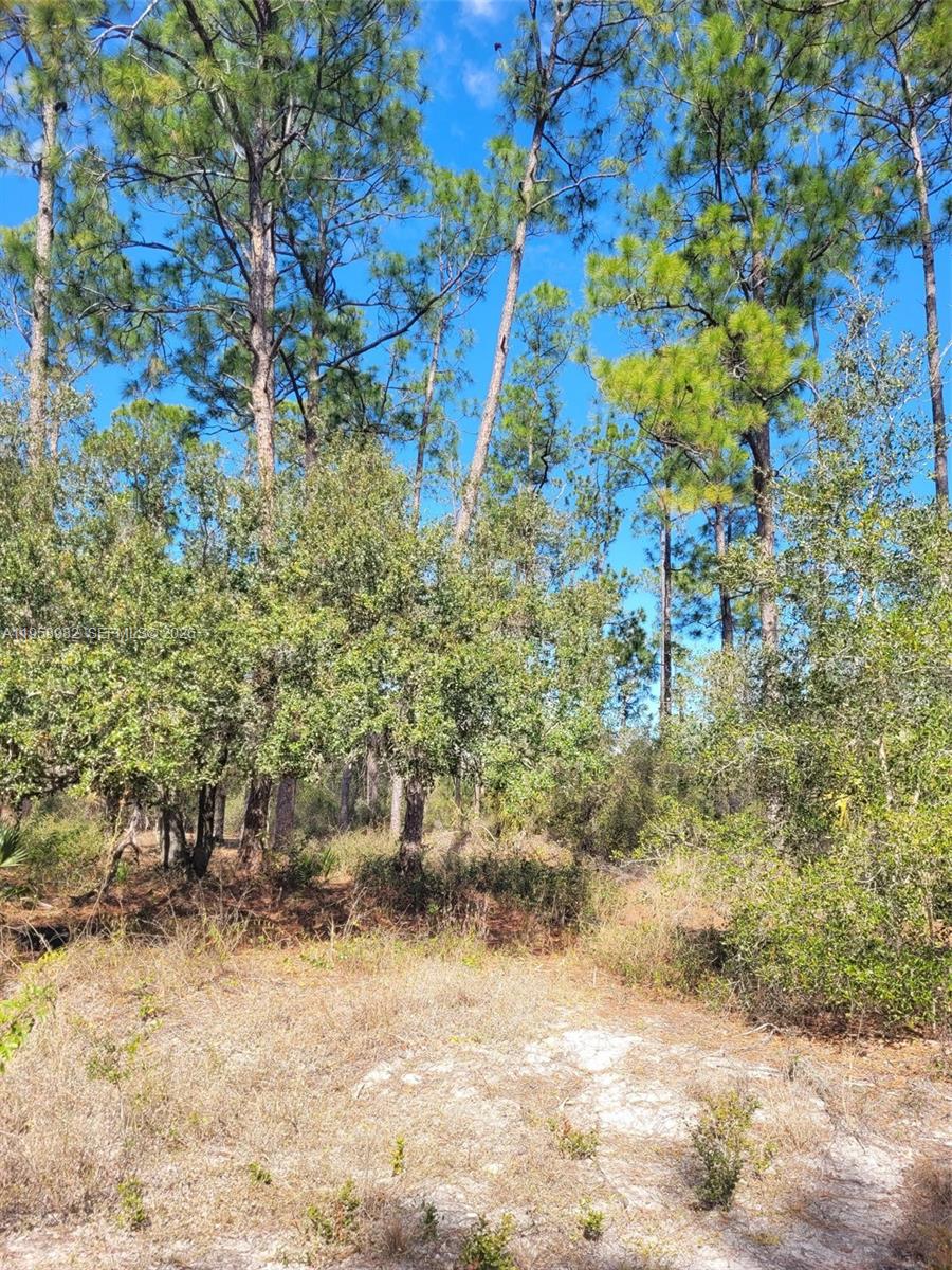 Подробнее / кв.футов $ 2026-02-04 0 Фото