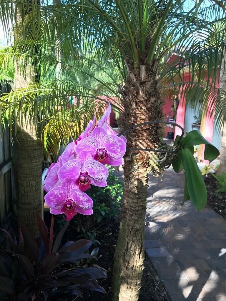   / 0 1800 sq. ft. $ 2026-06-21 0 foto