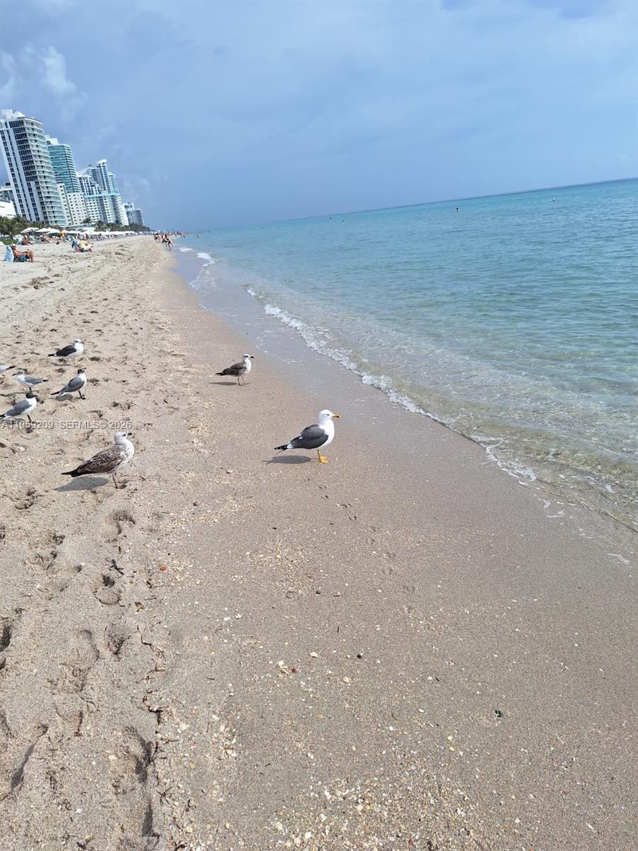 Photo of 2030 Ocean Dr  #1812, Hallandale Beach, Florida, 33009 - 