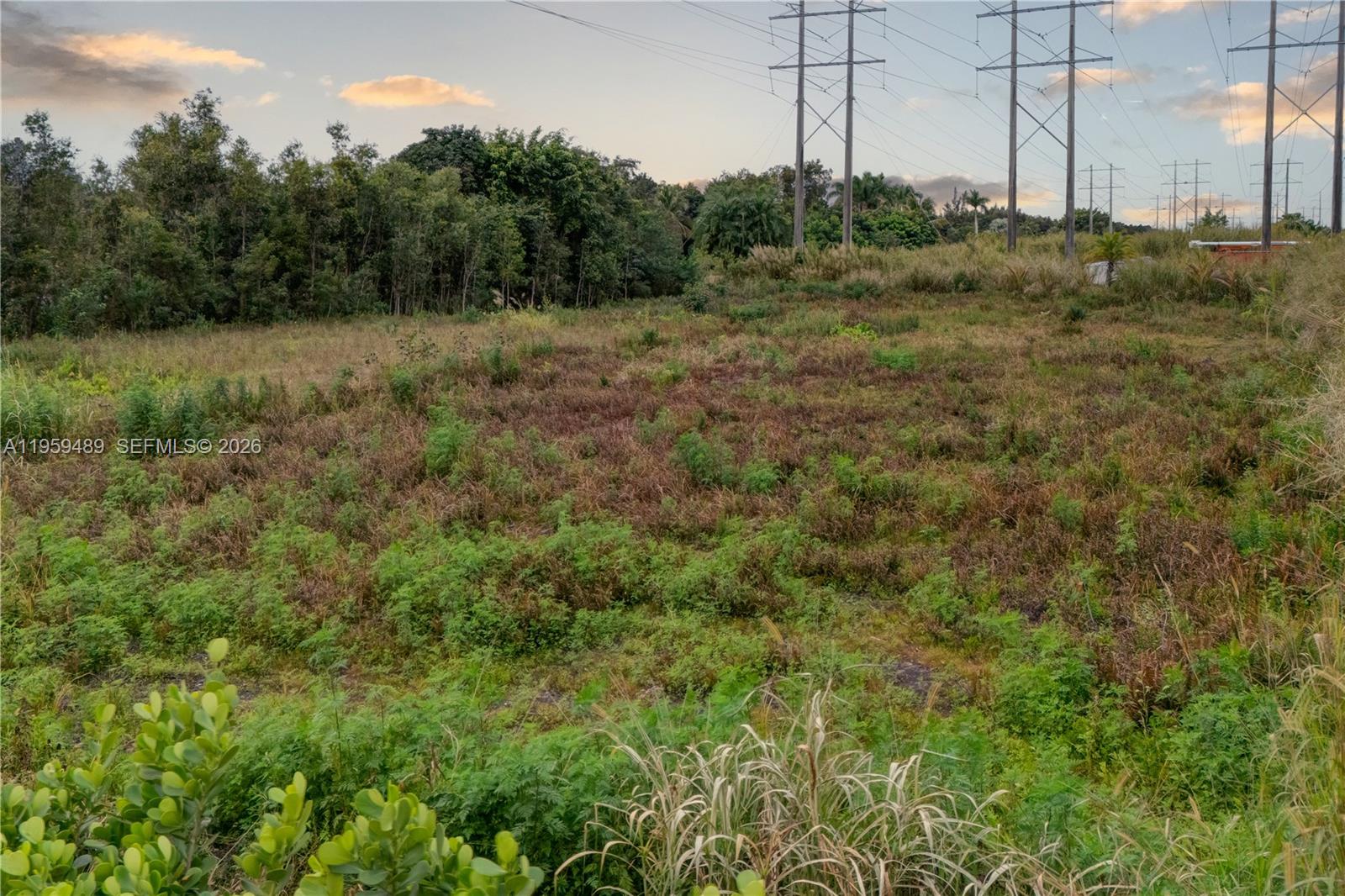 See details / sq. ft. $ 2026-02-05 0 Photo