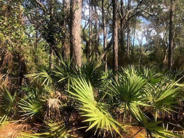   / 0  sq. ft. $ 2026-06-19 0 Photo