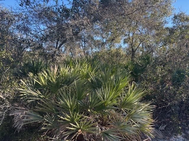 Ver detalles / 0 sq. ft. $ 2026-06-19 0 foto
