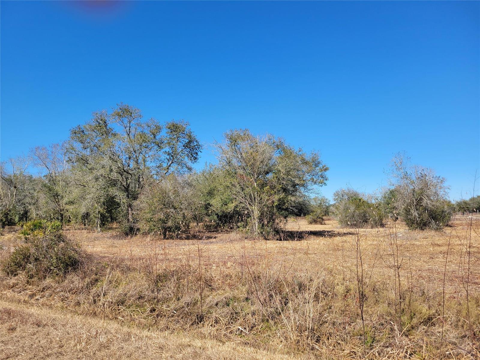   / 0  sq. ft. $ 2026-03-31 0 foto