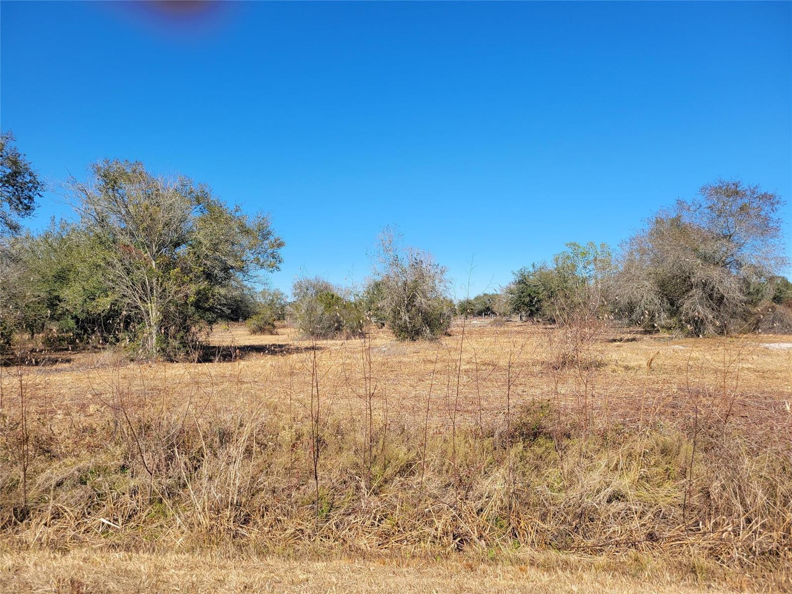   / 0  sq. ft. $ 2026-03-31 0 foto