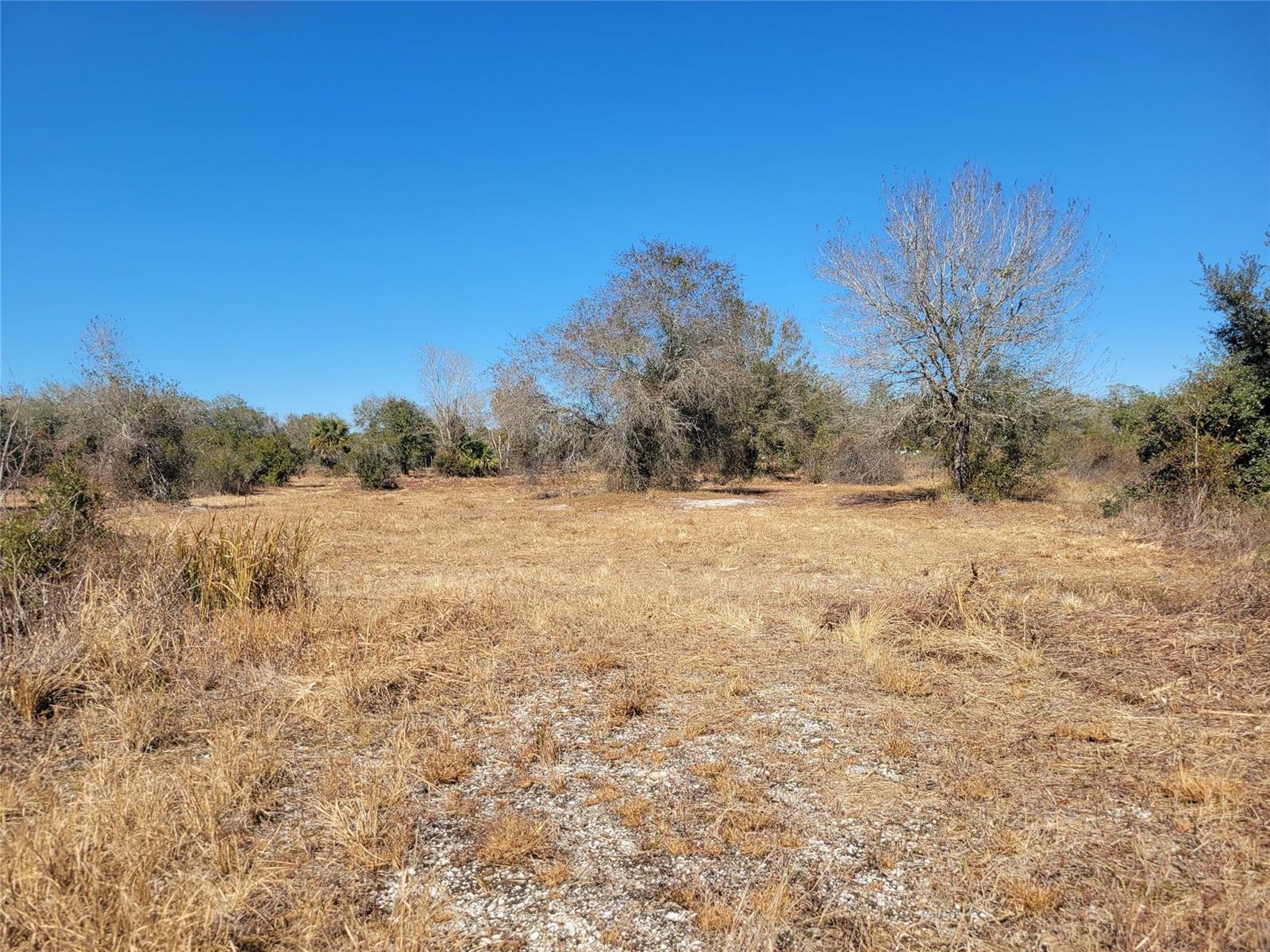   / 0  sq. ft. $ 2026-03-31 0 foto