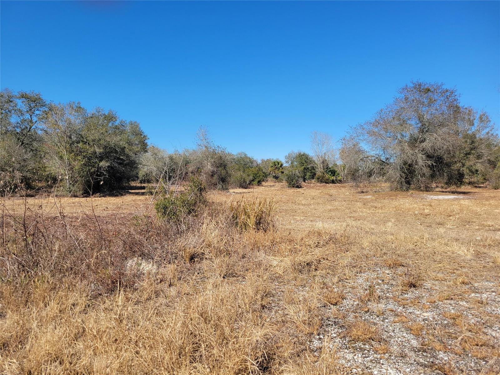   / 0  sq. ft. $ 2026-03-31 0 foto