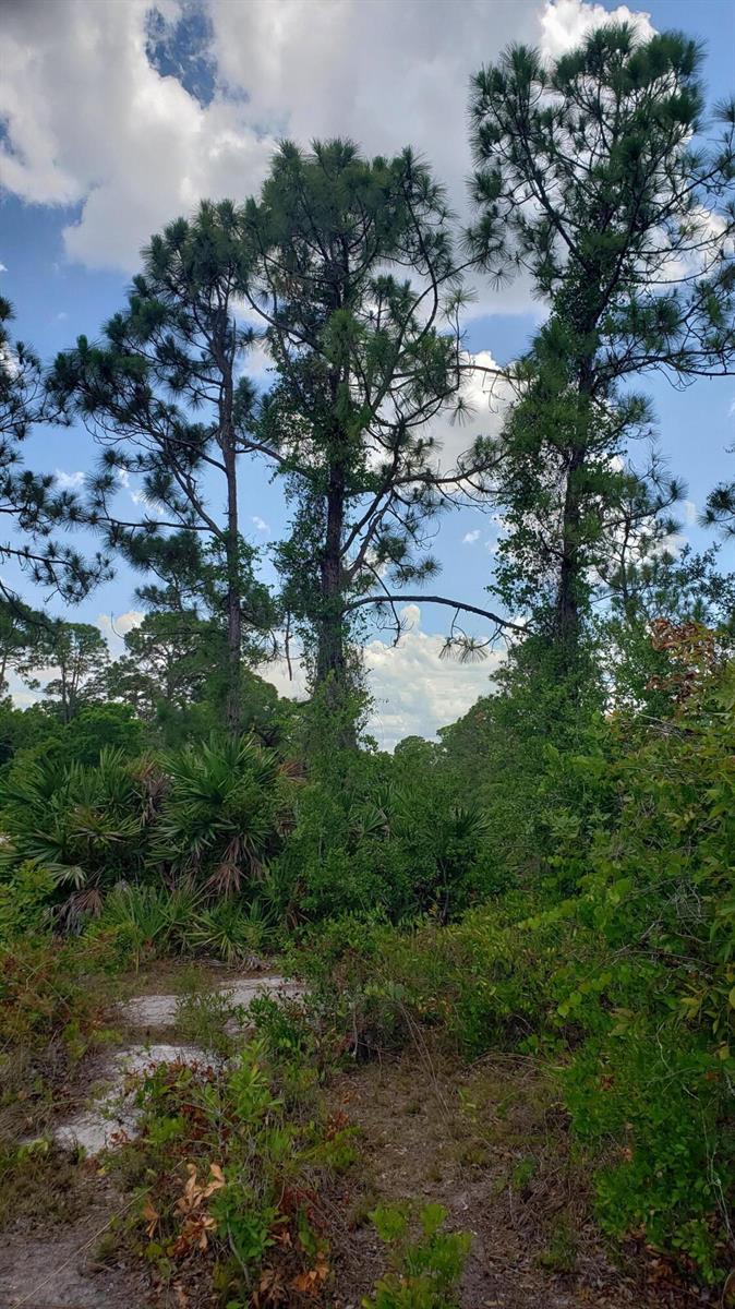 See details / 0 sq. ft. $ 2026-06-19 0 Photo