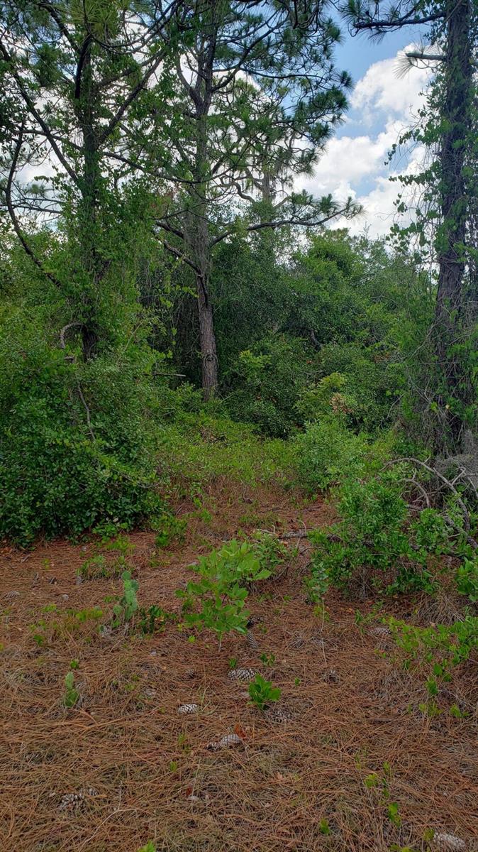 See details / 0 sq. ft. $ 2026-06-19 0 Photo