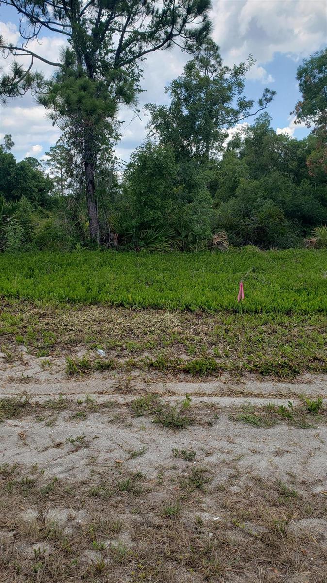 See details / 0 sq. ft. $ 2026-06-19 0 Photo