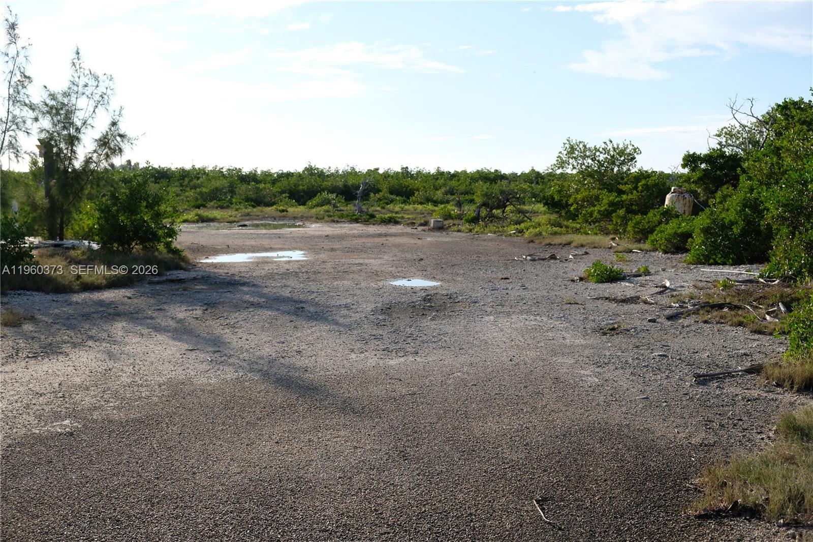   /   sq. ft. $ 2026-02-06 0 Photo