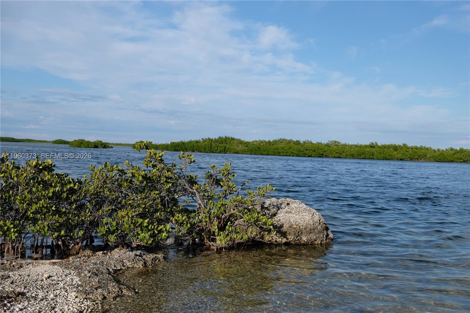   /   sq. ft. $ 2026-02-06 0 Photo