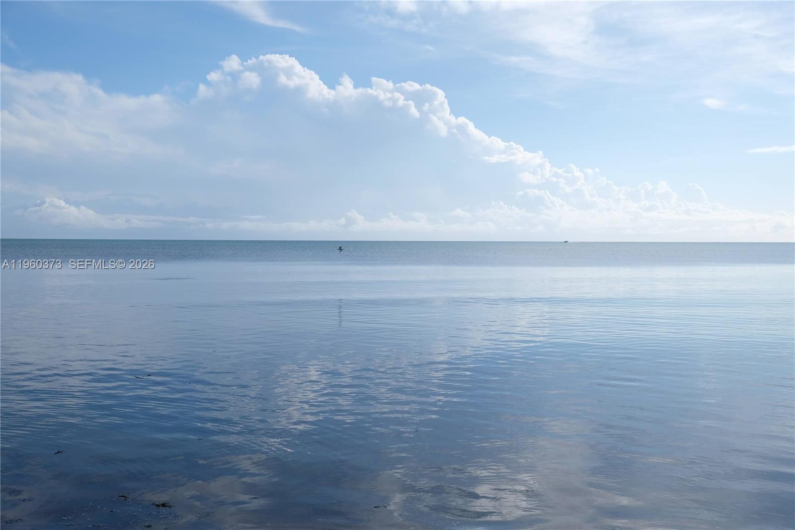   /   sq. ft. $ 2026-02-06 0 Photo