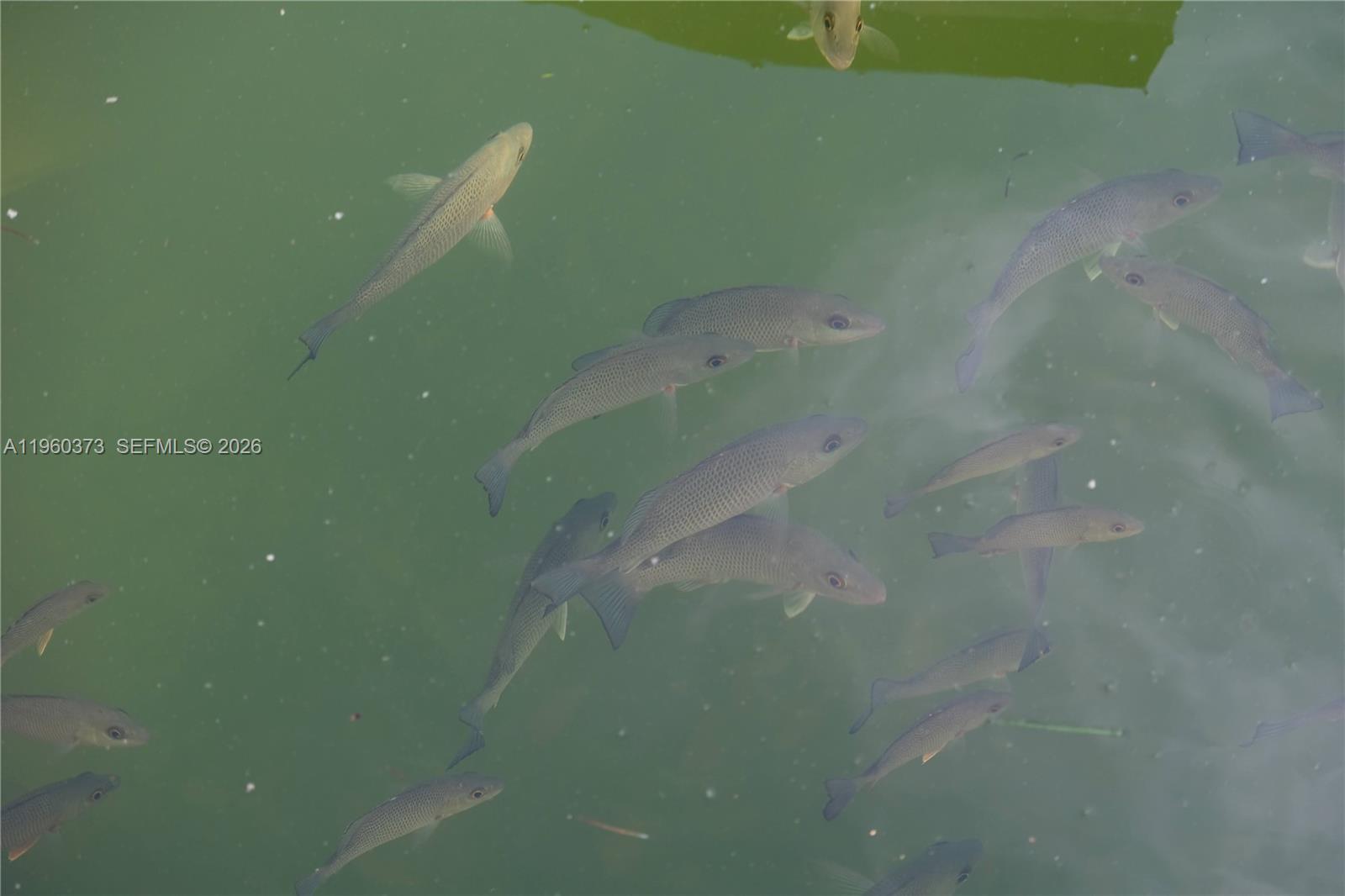   /   sq. ft. $ 2026-02-06 0 Photo