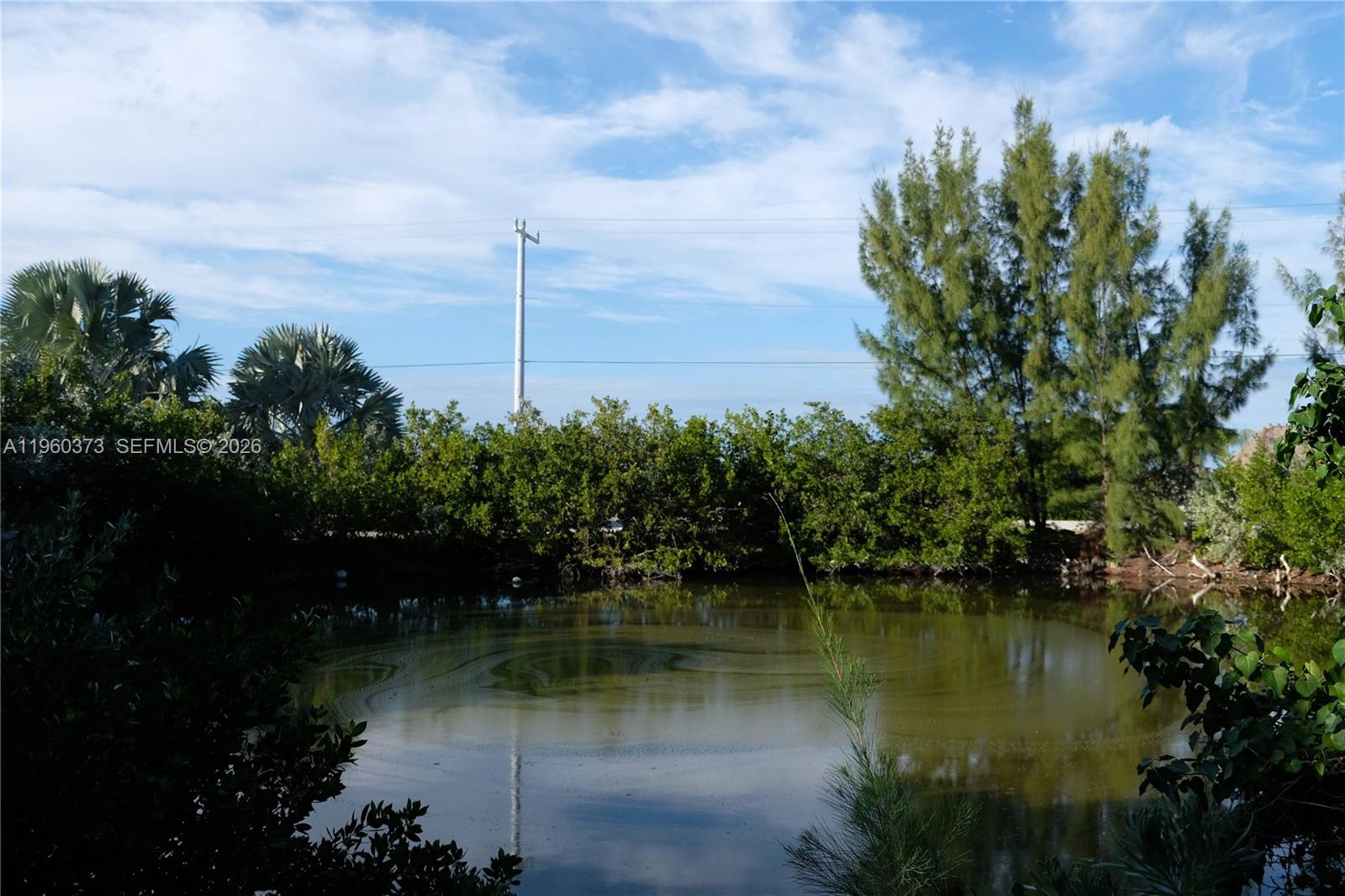   /   sq. ft. $ 2026-02-06 0 Photo