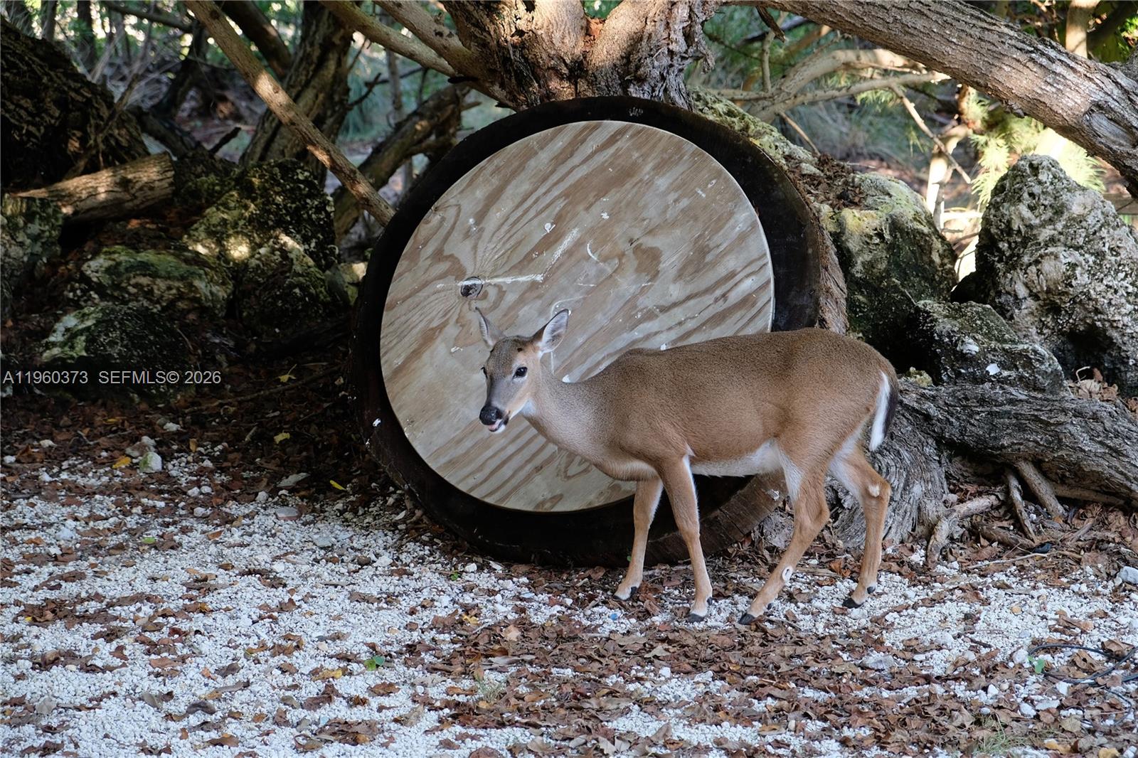   /   sq. ft. $ 2026-02-06 0 Photo