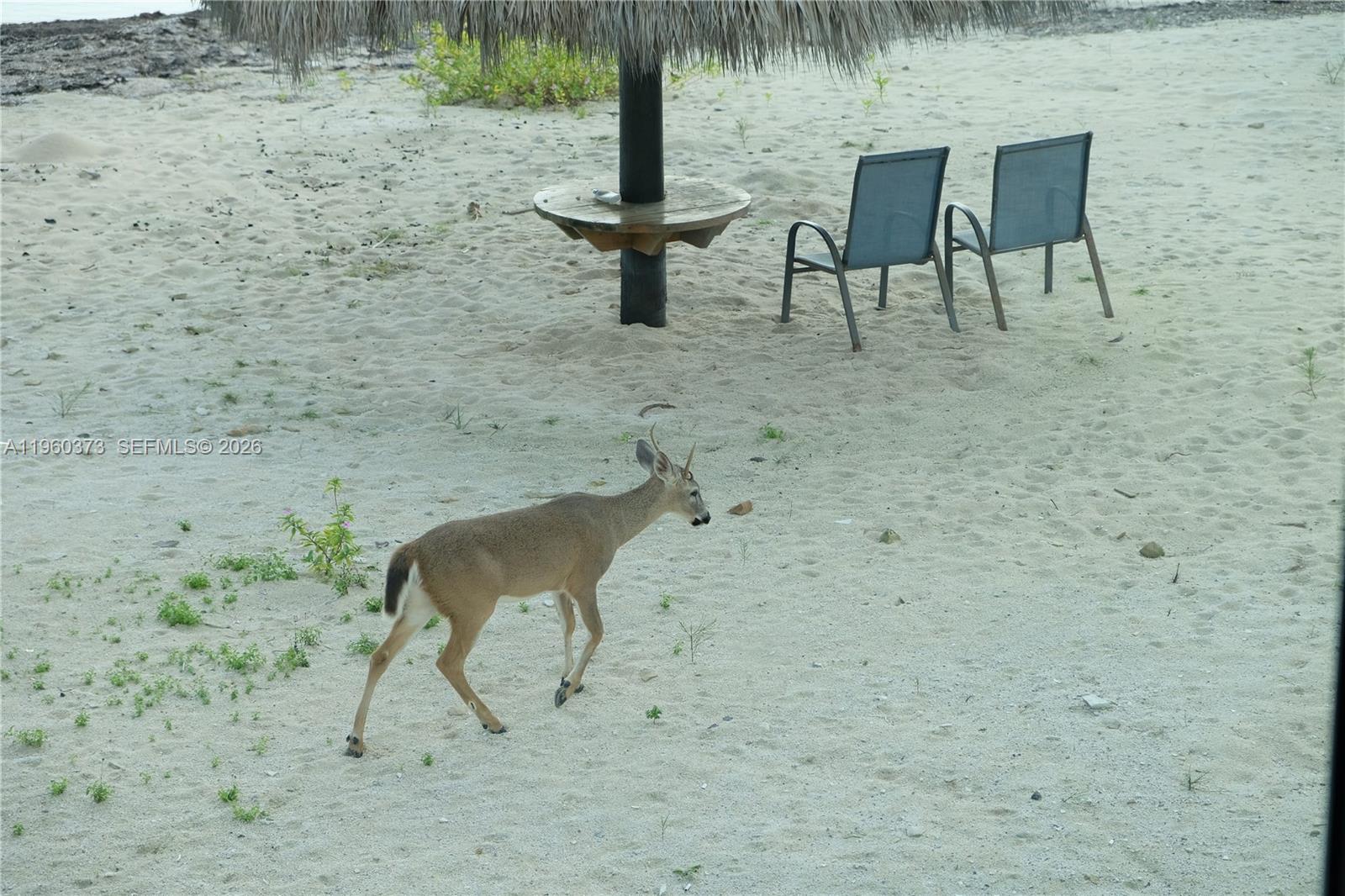   /   sq. ft. $ 2026-02-06 0 Photo