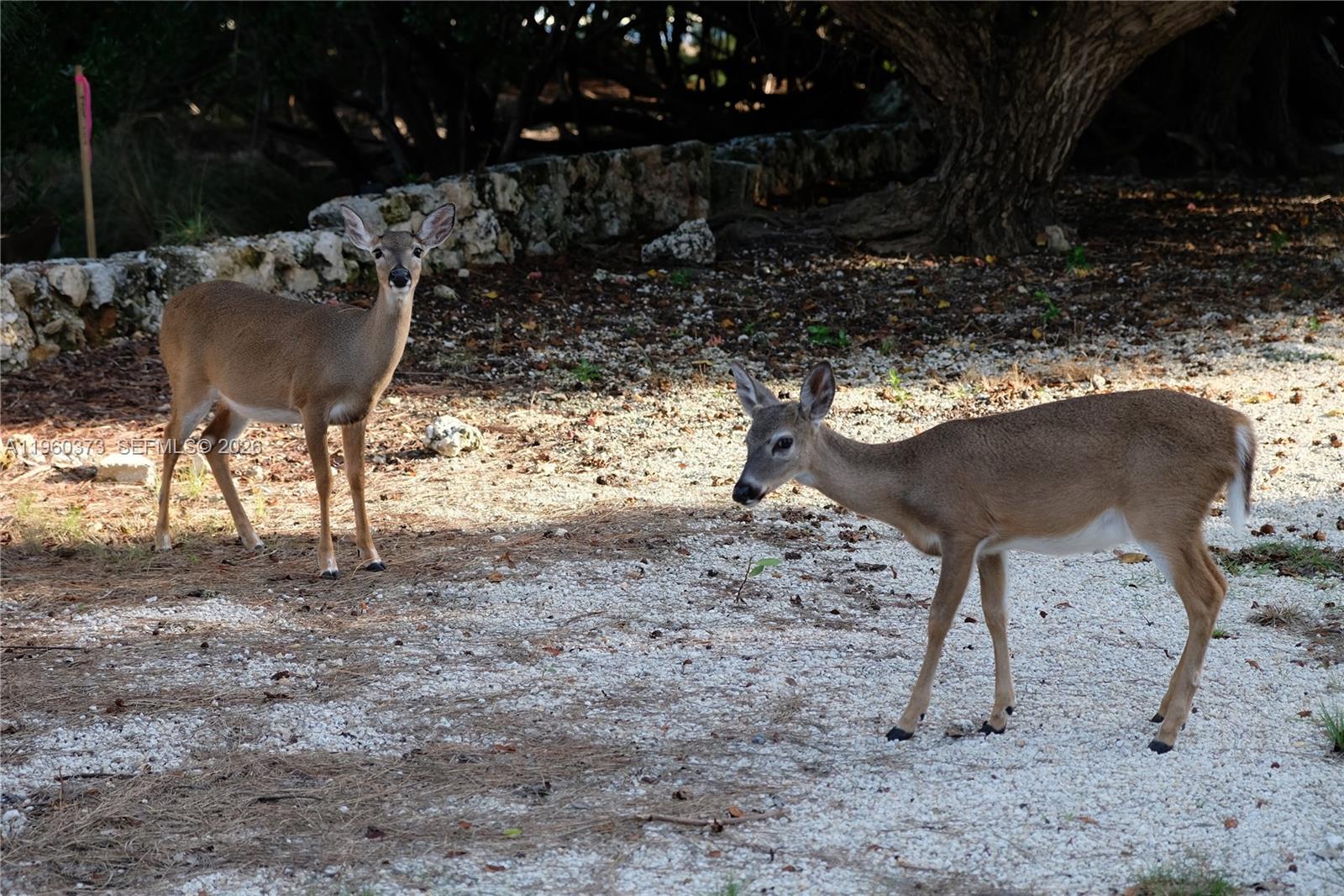   /   sq. ft. $ 2026-02-06 0 Photo