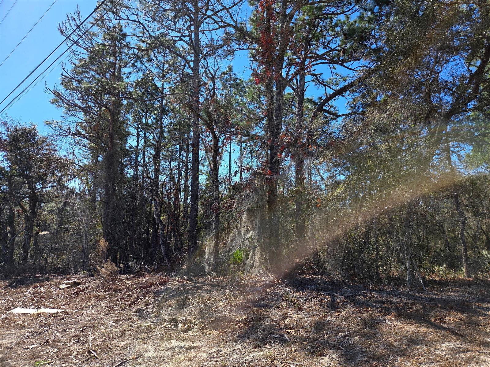   / 0  sq. ft. $ 2026-04-09 0 Photo