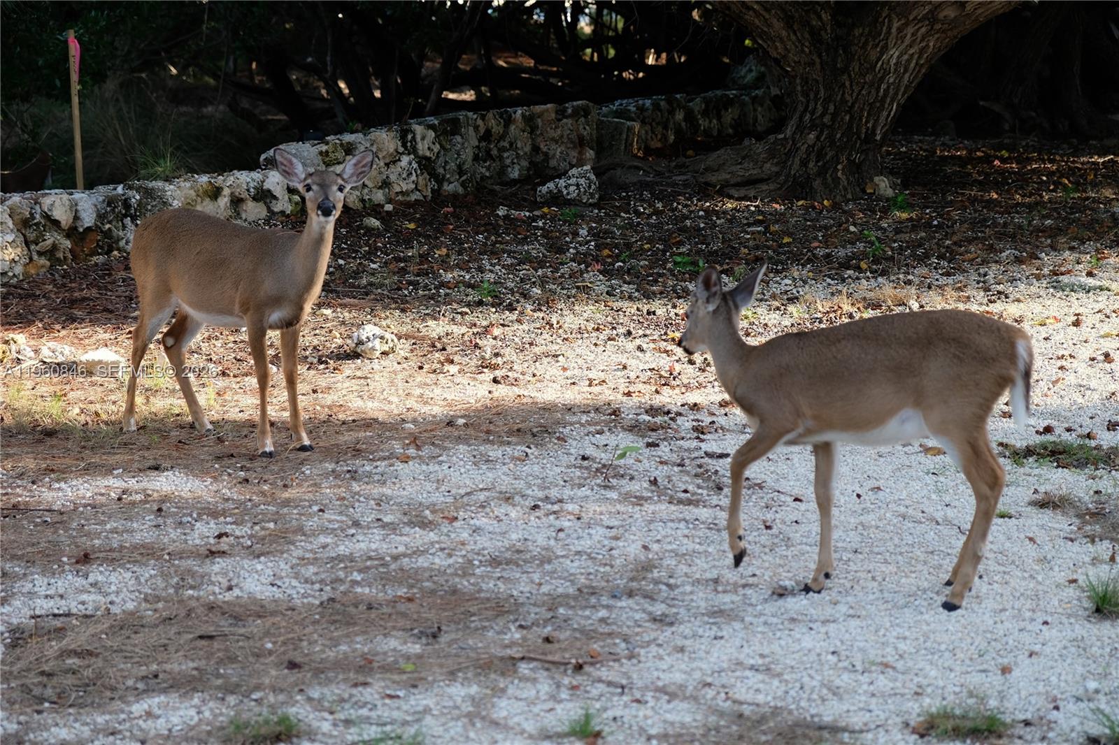   /   кв.футов $ 2026-02-20 0 Фото