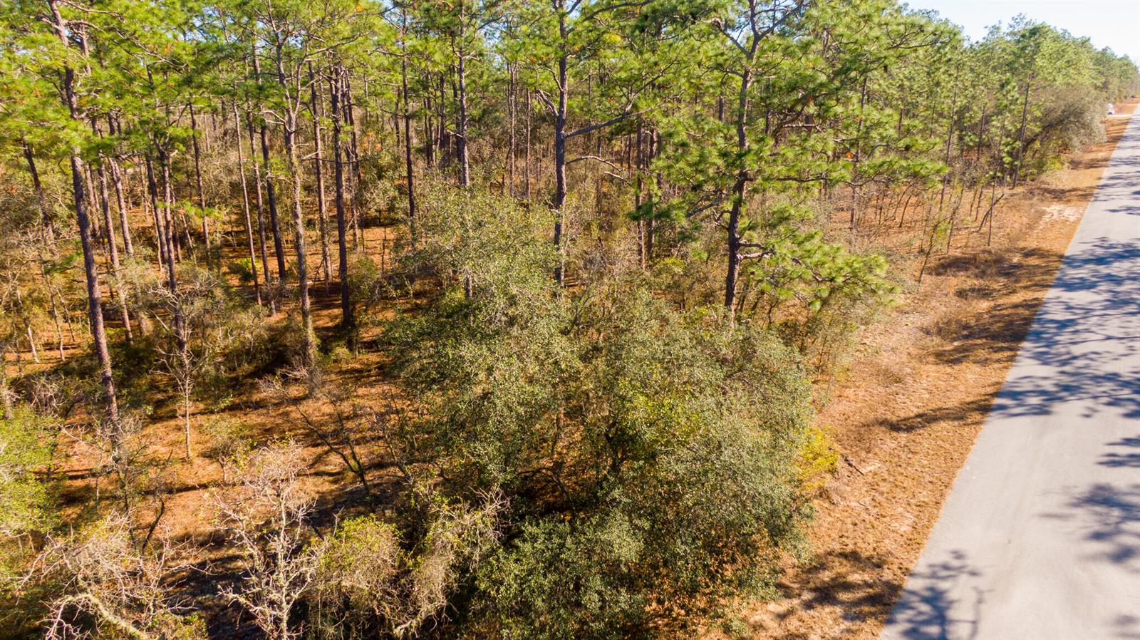 See details / 0 sq. ft. $ 2026-06-19 0 Photo