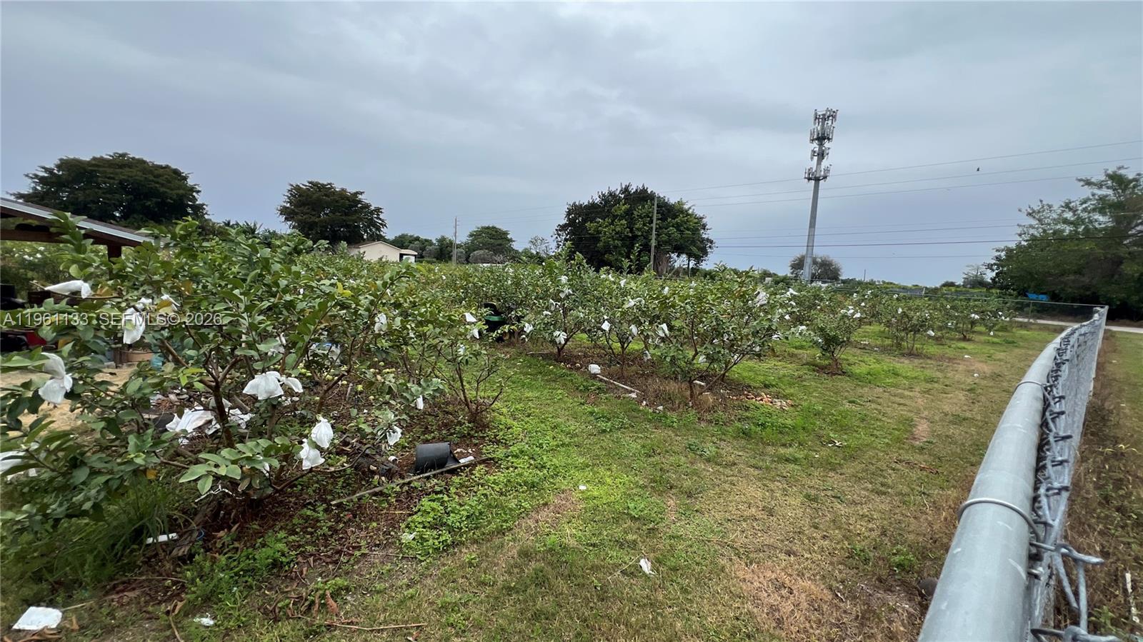   /   sq. ft. $ 2026-02-07 0 Photo