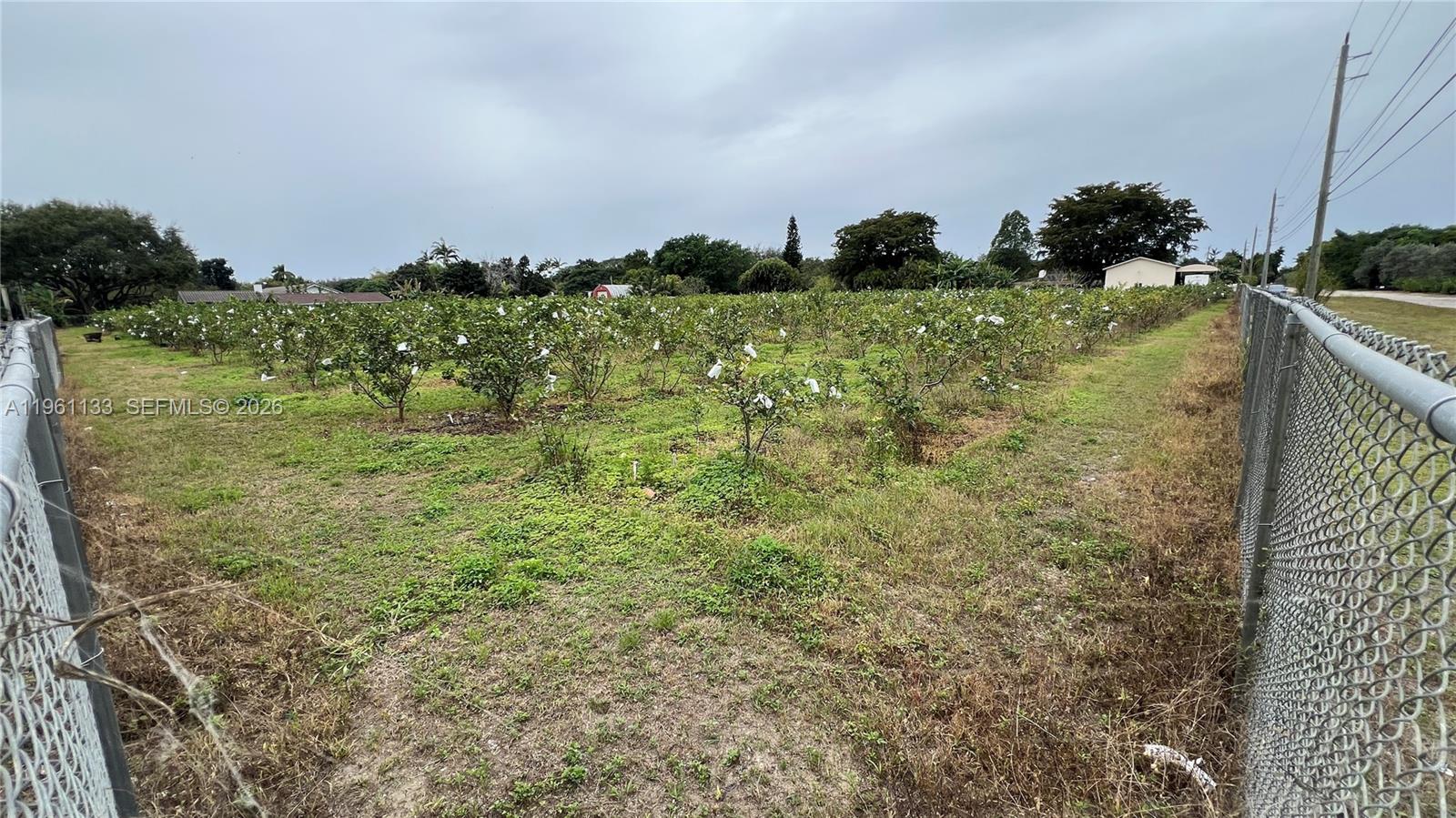   /   sq. ft. $ 2026-02-07 0 Photo