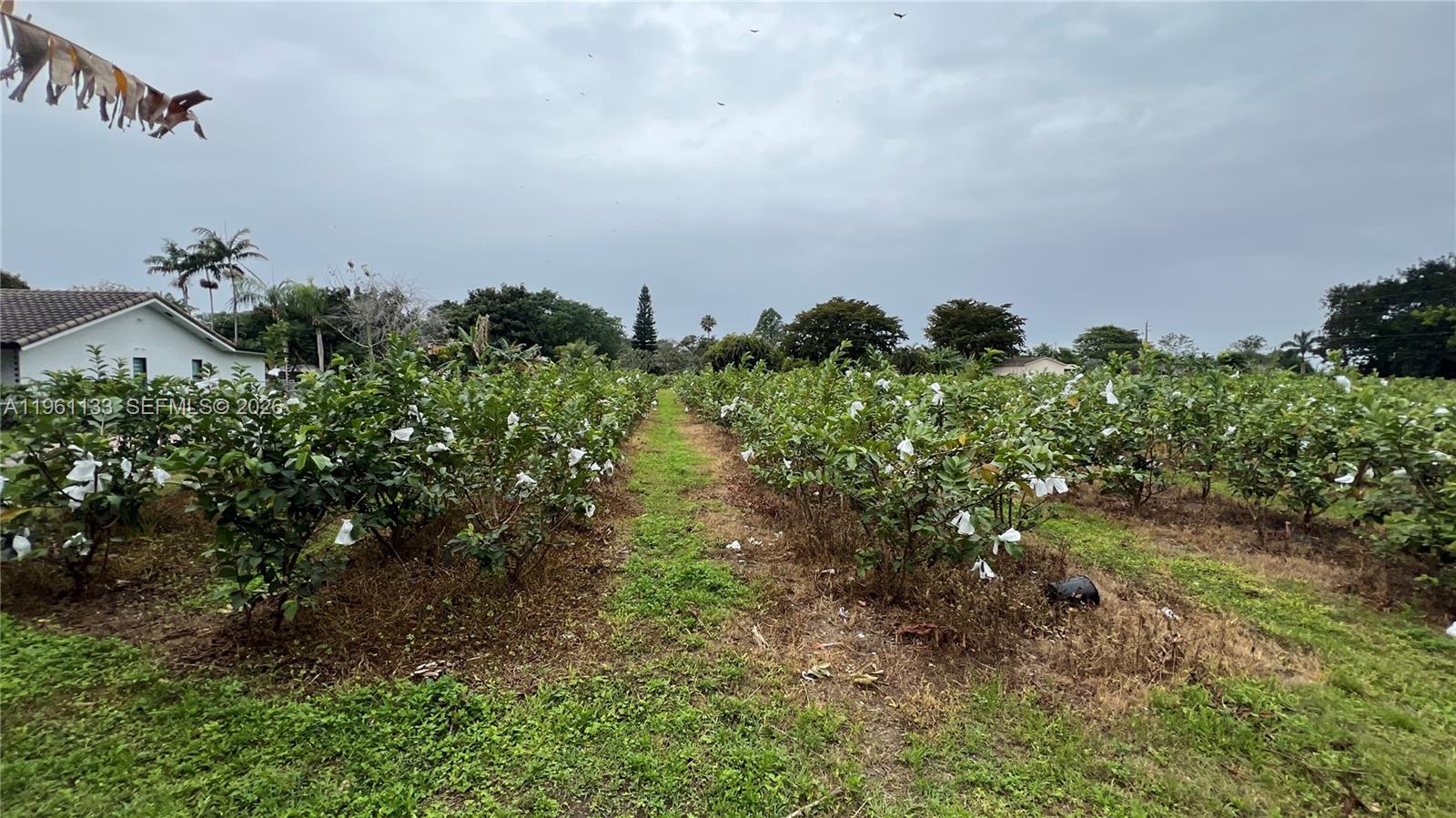   /   sq. ft. $ 2026-02-07 0 Photo