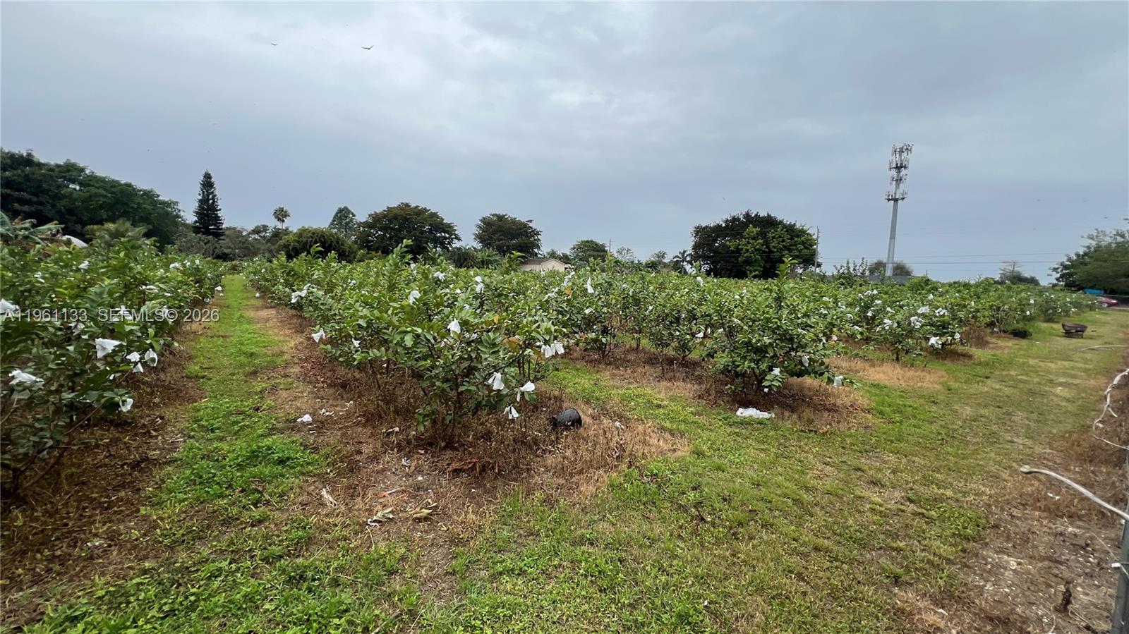   /   sq. ft. $ 2026-02-07 0 Photo