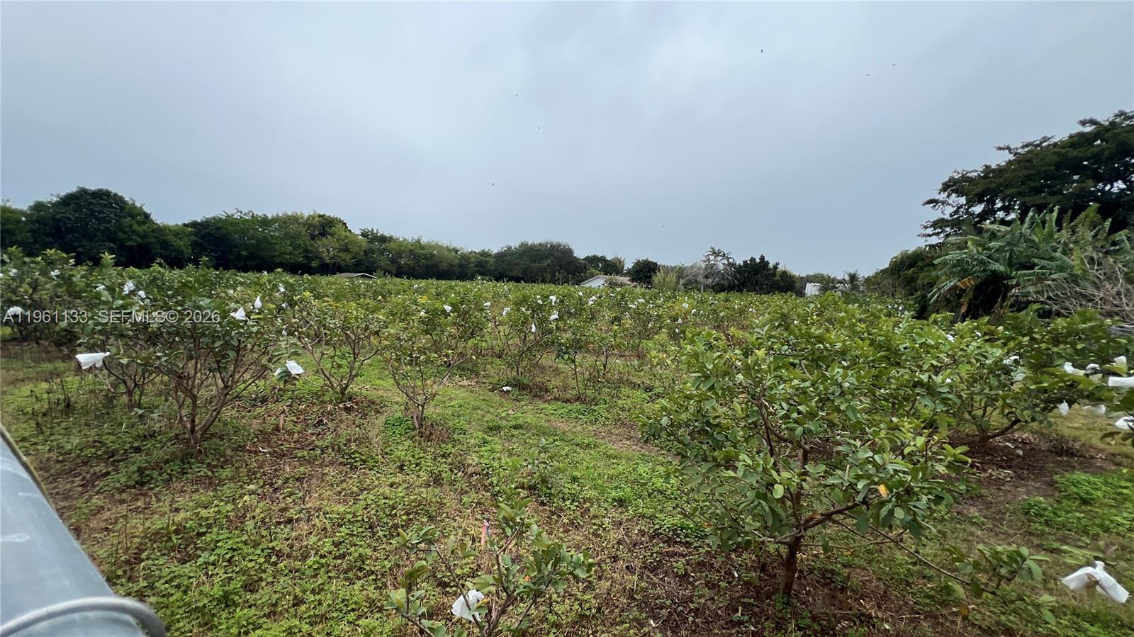   /   sq. ft. $ 2026-02-07 0 Photo