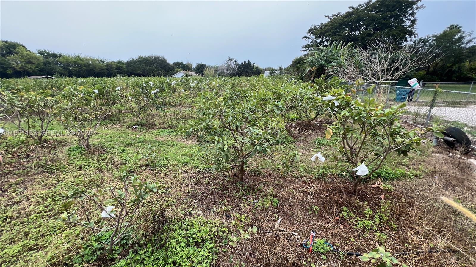   /   sq. ft. $ 2026-02-07 0 Photo