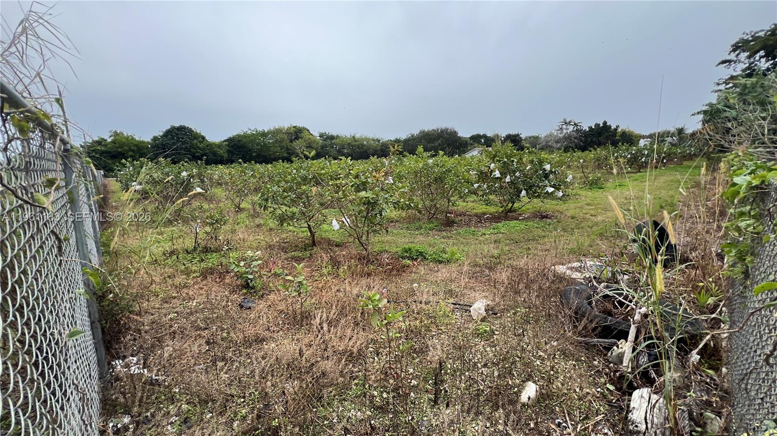   /   sq. ft. $ 2026-02-07 0 Photo