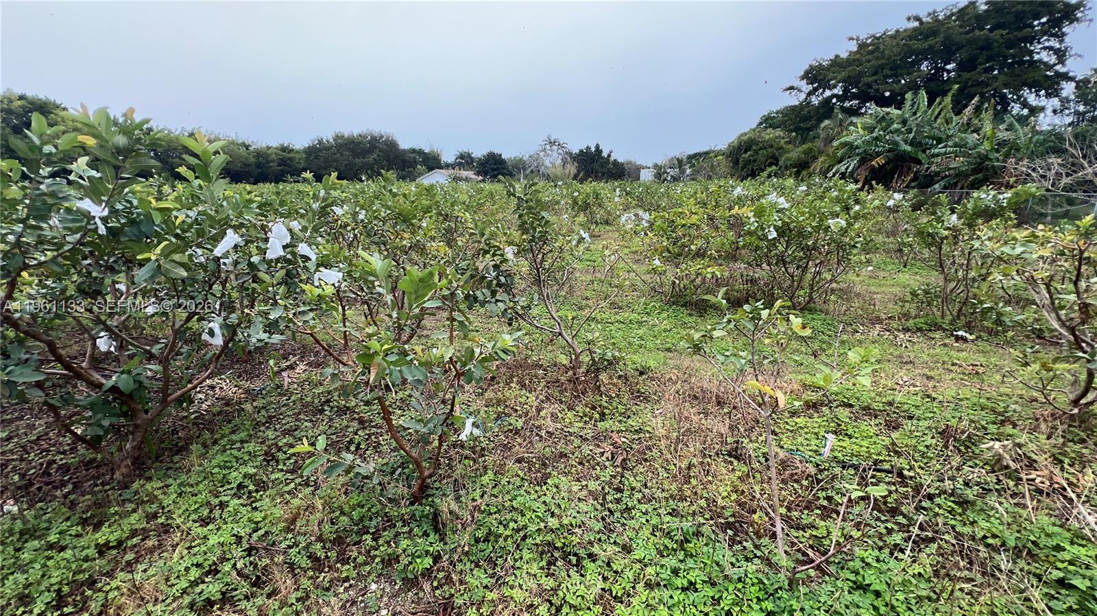   /   sq. ft. $ 2026-02-07 0 Photo