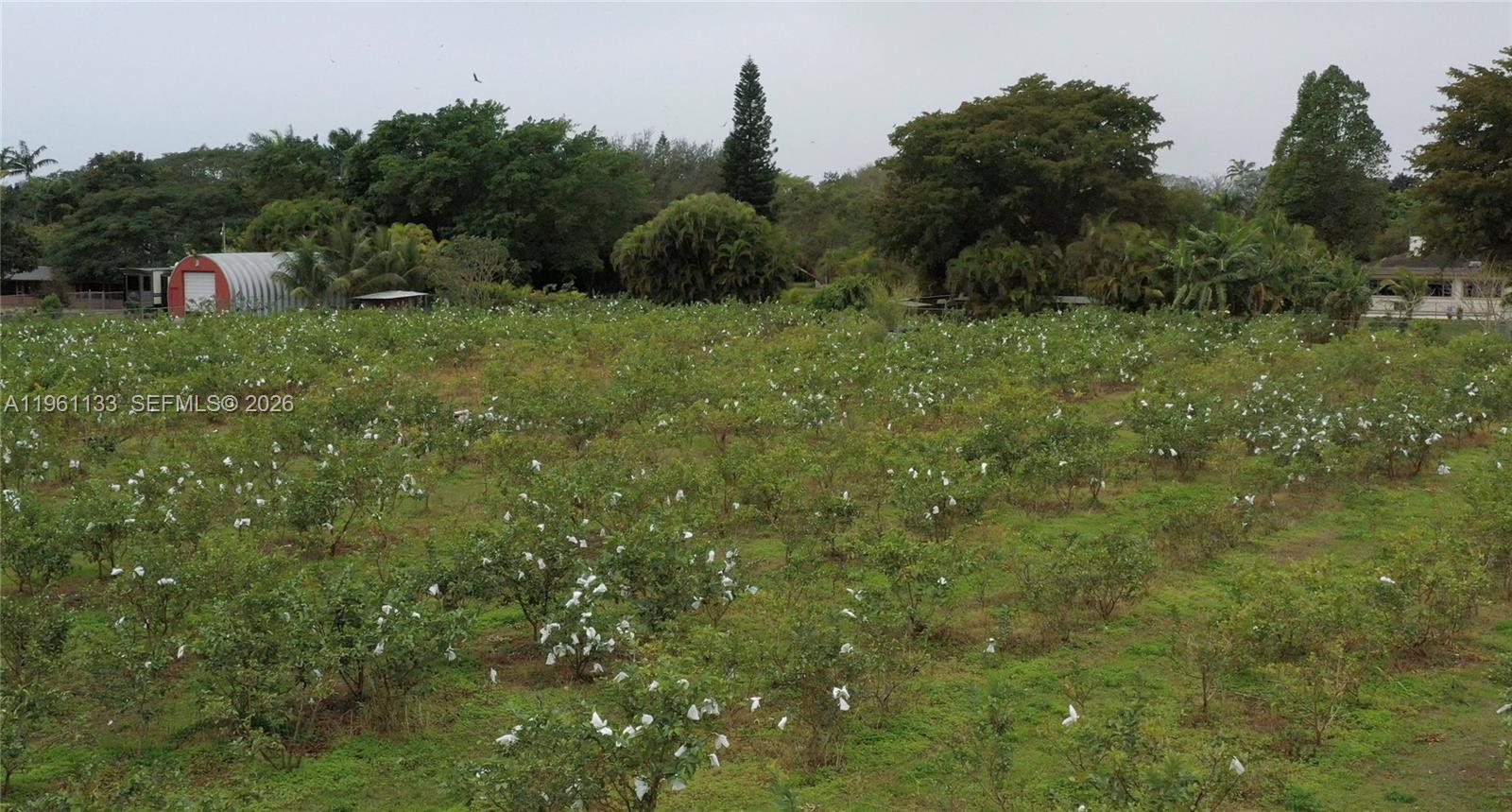   /   sq. ft. $ 2026-02-07 0 Photo