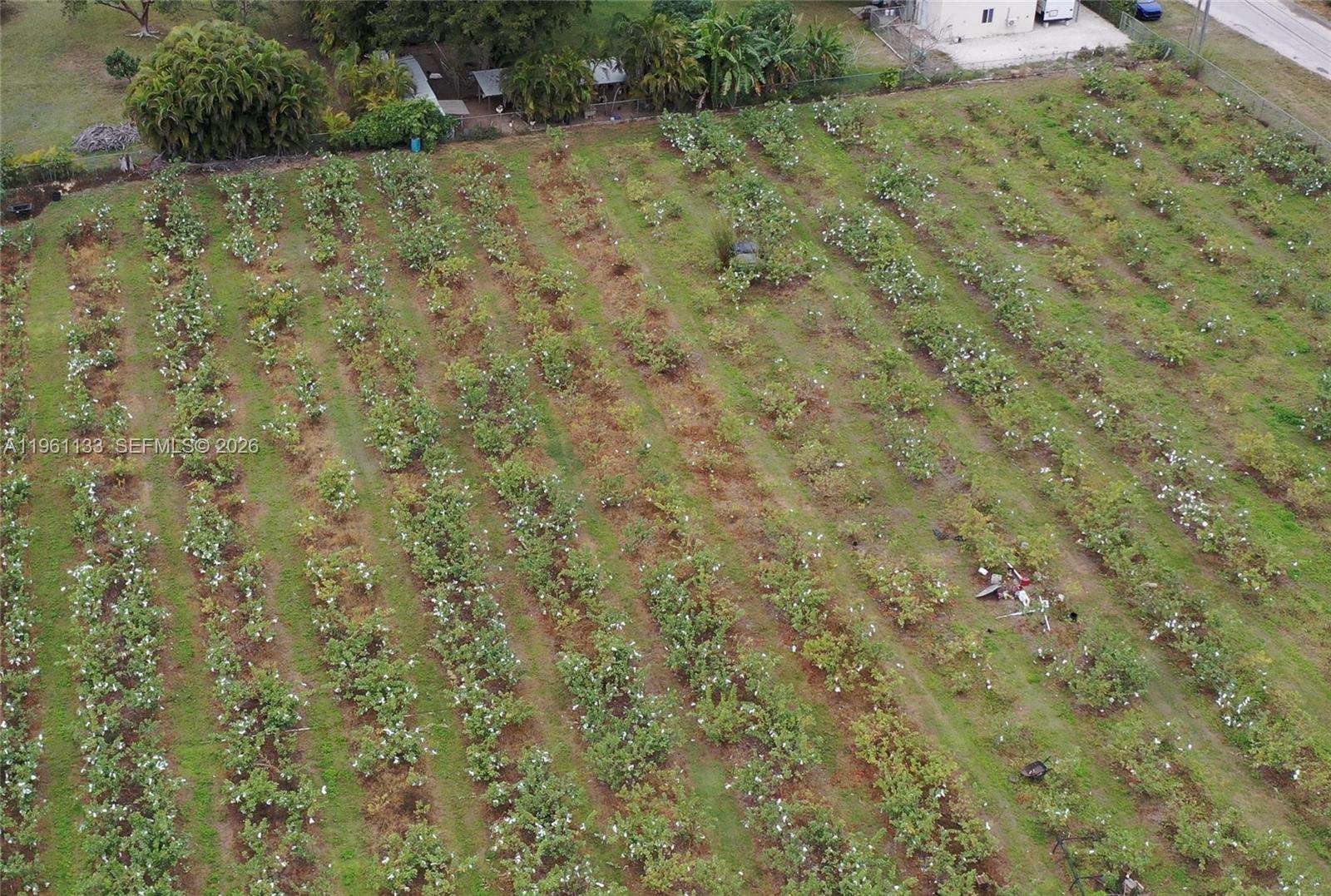   /   sq. ft. $ 2026-02-07 0 Photo