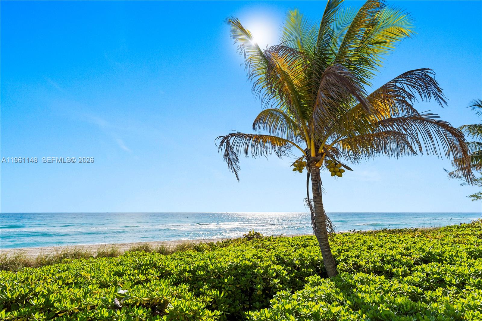 Photo of 1920 Ocean Dr #17D, Hallandale Beach, Florida, 33009 -
