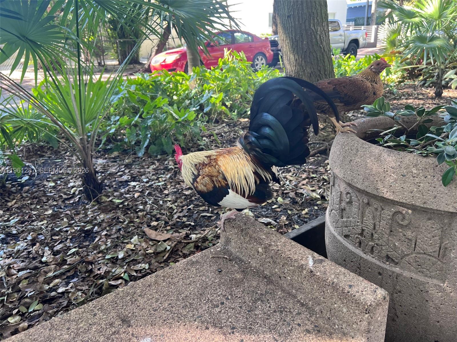   /   sq. ft. $ 2026-02-07 0 foto