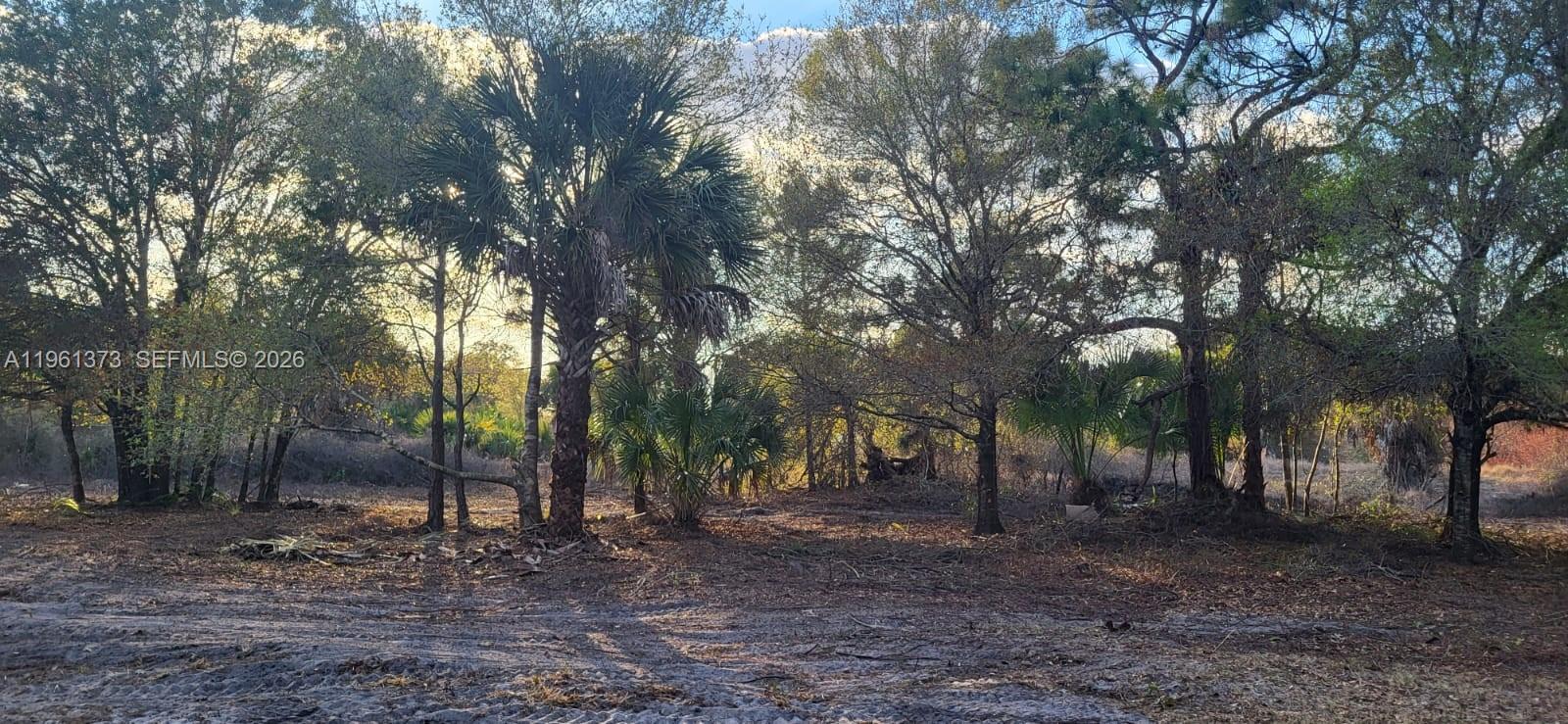   /   sq. ft. $ 2026-02-08 0 foto